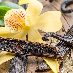 Dried vanilla fruits and vanilla orchid on wooden table.