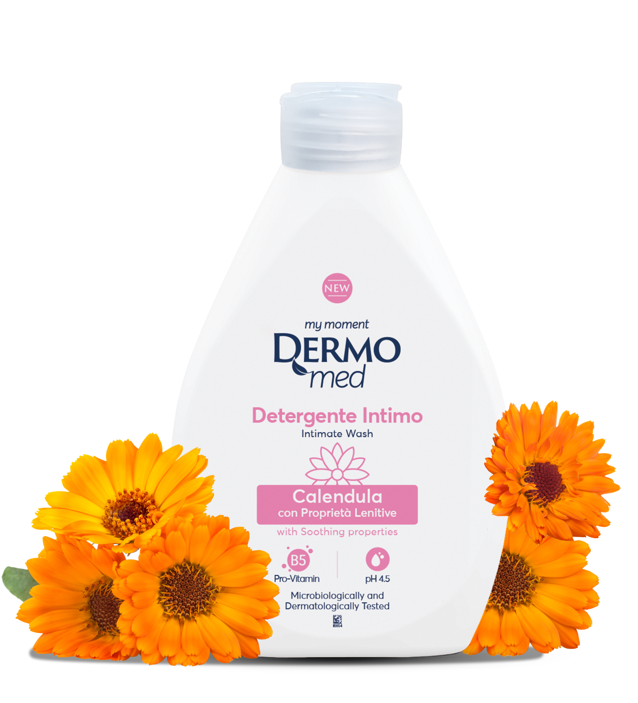 Calendula per sito